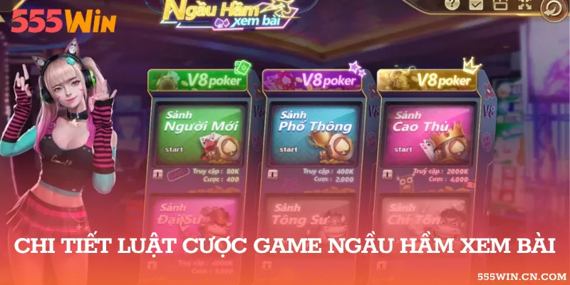 Hướng dẫn chia bài và đánh Ngầu Hầm Xem Bài