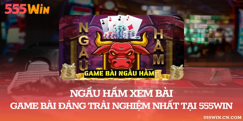 Ngầu Hầm Xem Bài